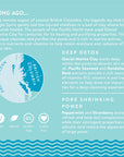 Glacial Coast Detox Masque - ARTIFACT