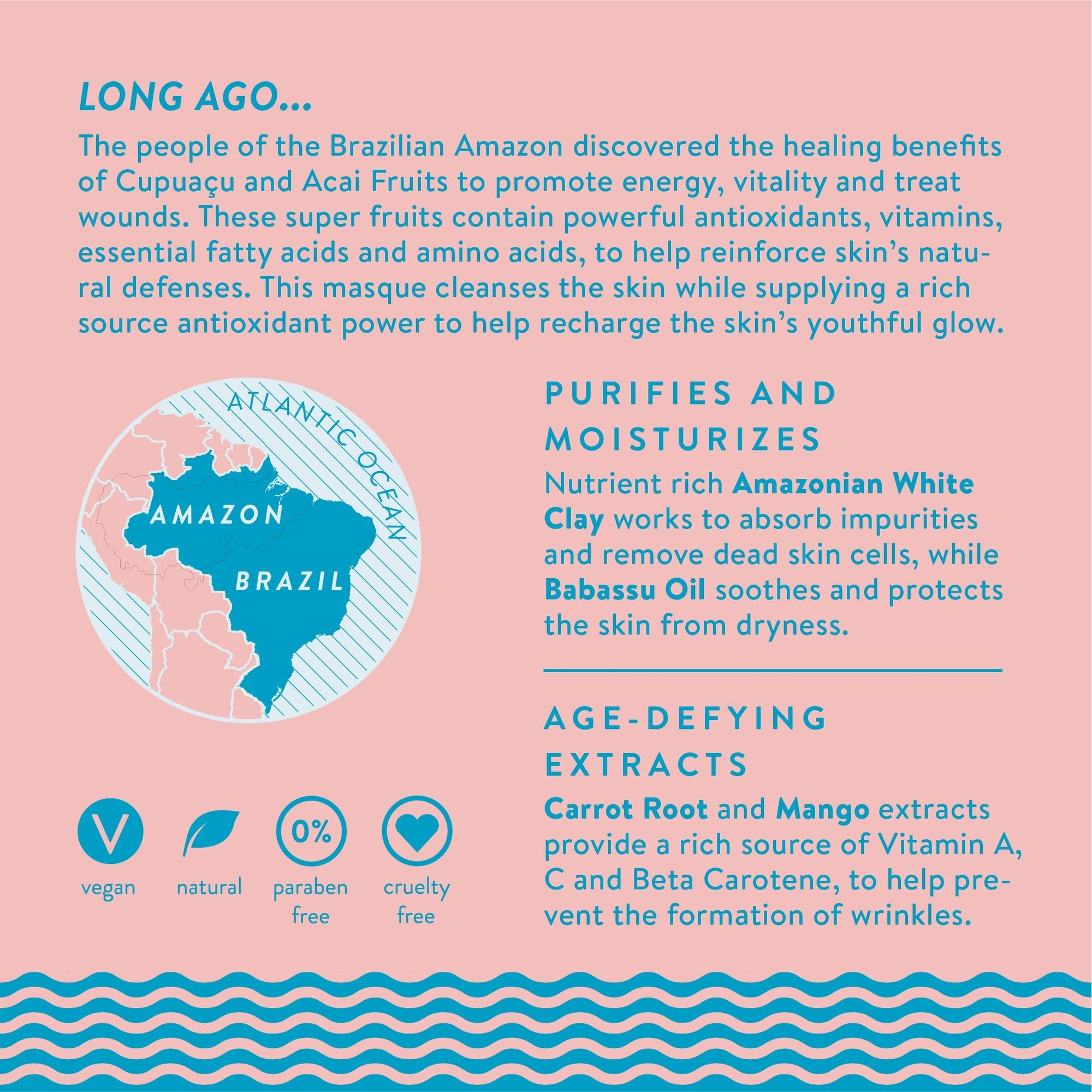 Brazilian Supermask Masque + Brush Kit - ARTIFACT