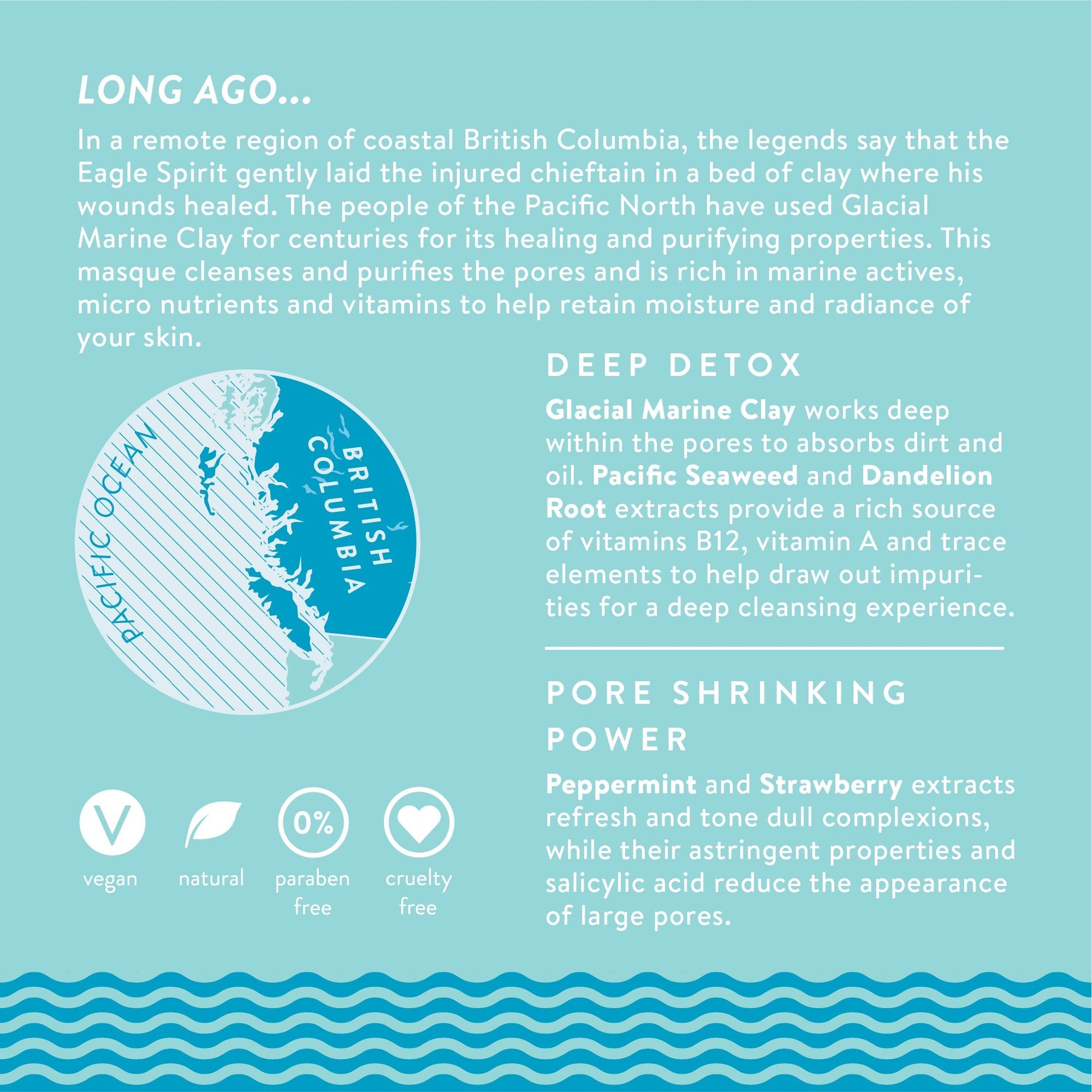 Glacial Coast Detox Masque + Brush Kit - ARTIFACT